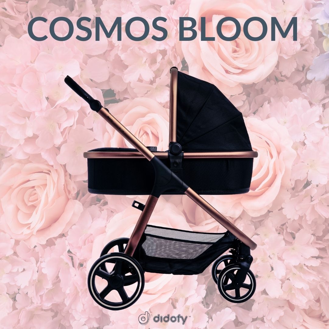didofy Cosmos Bloom
